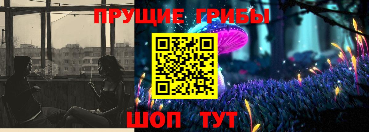 Псилоцибиновые грибы Psilocybe  Вход с VPN  Казань  Псилоцибиновые грибы Psilocybe 